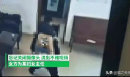 村干部不雅视频,揭开权力滥用与道德沦丧的丑陋面纱